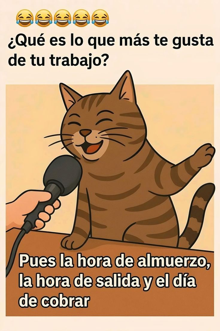 Buenos días 🔆
Humor de jueves 😅🙌🏻