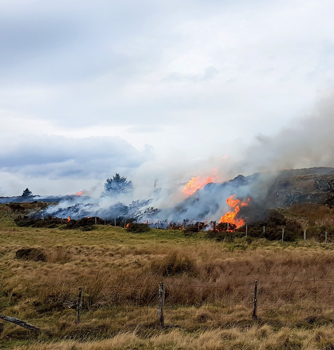 Vet Record (@vet_record) on Twitter photo A worrying spate of wildfires across the UK should spark discussion of upland management and the unintended consequences of destocking, notes the National Sheep Association. 
Read the full 'big picture' story at: ow.ly/24vV50VLXrm A worrying spate of wildfires across the UK should spark discussion of upland management and the unintended consequences of destocking, notes the National Sheep Association. 
Read the full 'big picture' story at: ow.ly/24vV50VLXrm