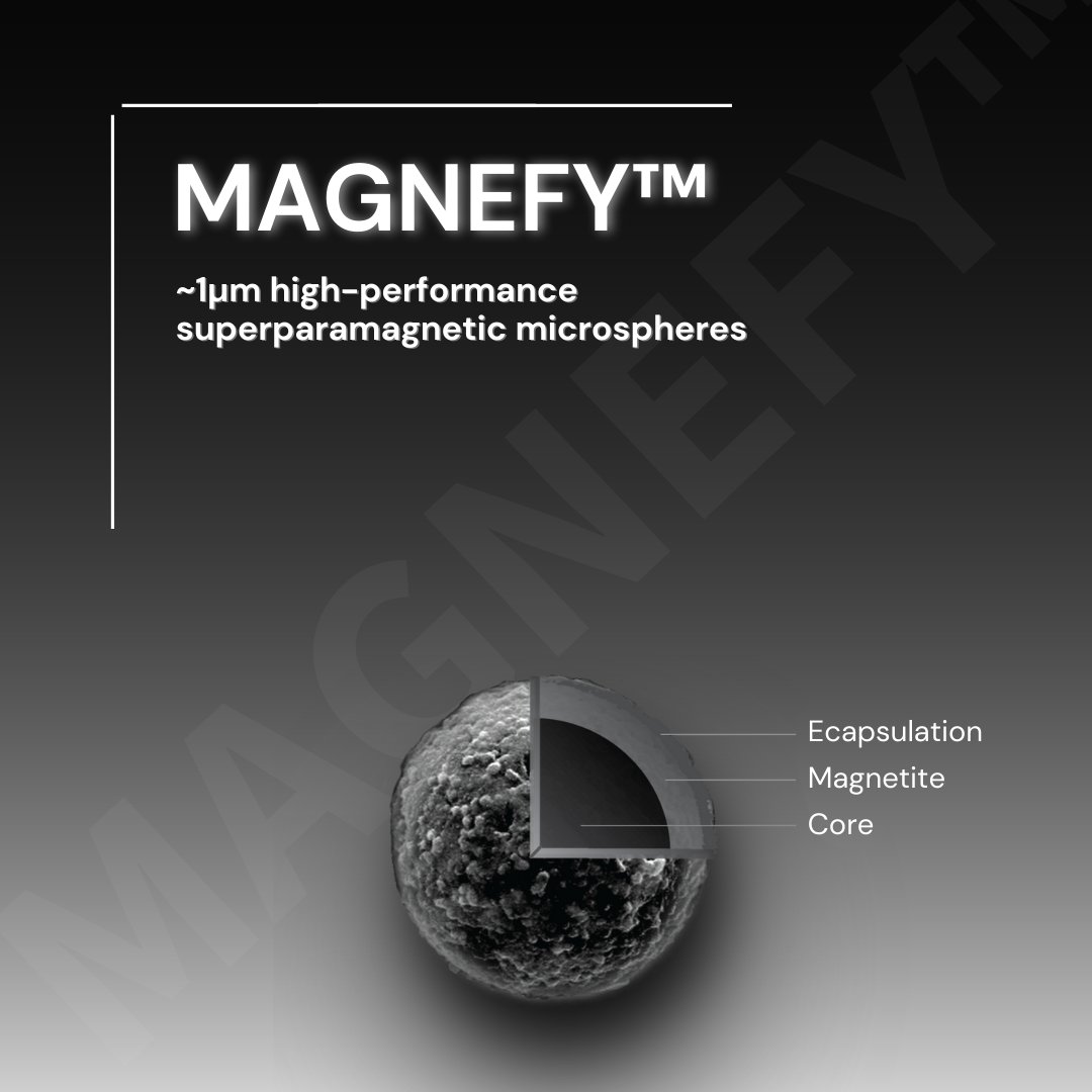 Meet our family of magnetic particles–Magnefy™ ~1µm carboxylated superparamagnetic microspheres. High surface area / high surface titer microparticles with a rapid separation profile, Magnefy offers an additional performance-driven solid phase for magnetic particle-based assays