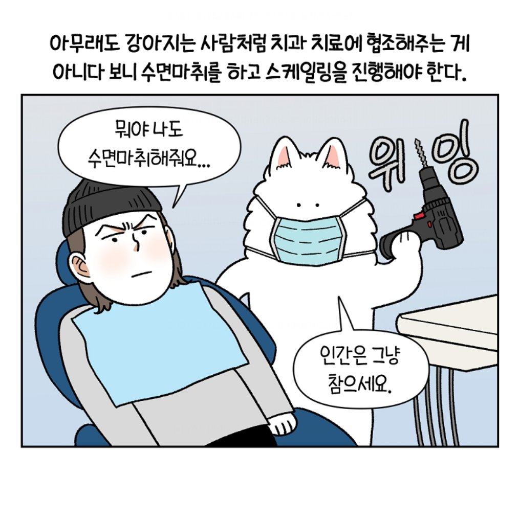 마일로 tweet media