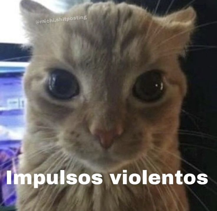 wxrgxd_dss's tweet photo. ⠀

⠀⠀⠀ Se que es normal que me desaparezca tanto tiempo.
PERO NI MIS HIJOS ME HAN PREGUNTADO SI SIGO ETERNO.❜ https://t.co/bWTQCEQ70H