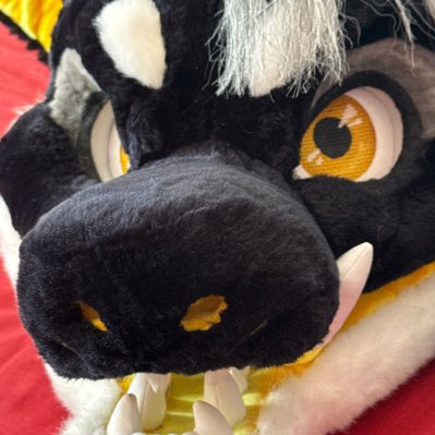 #NewProfilePic say hello to jaksil