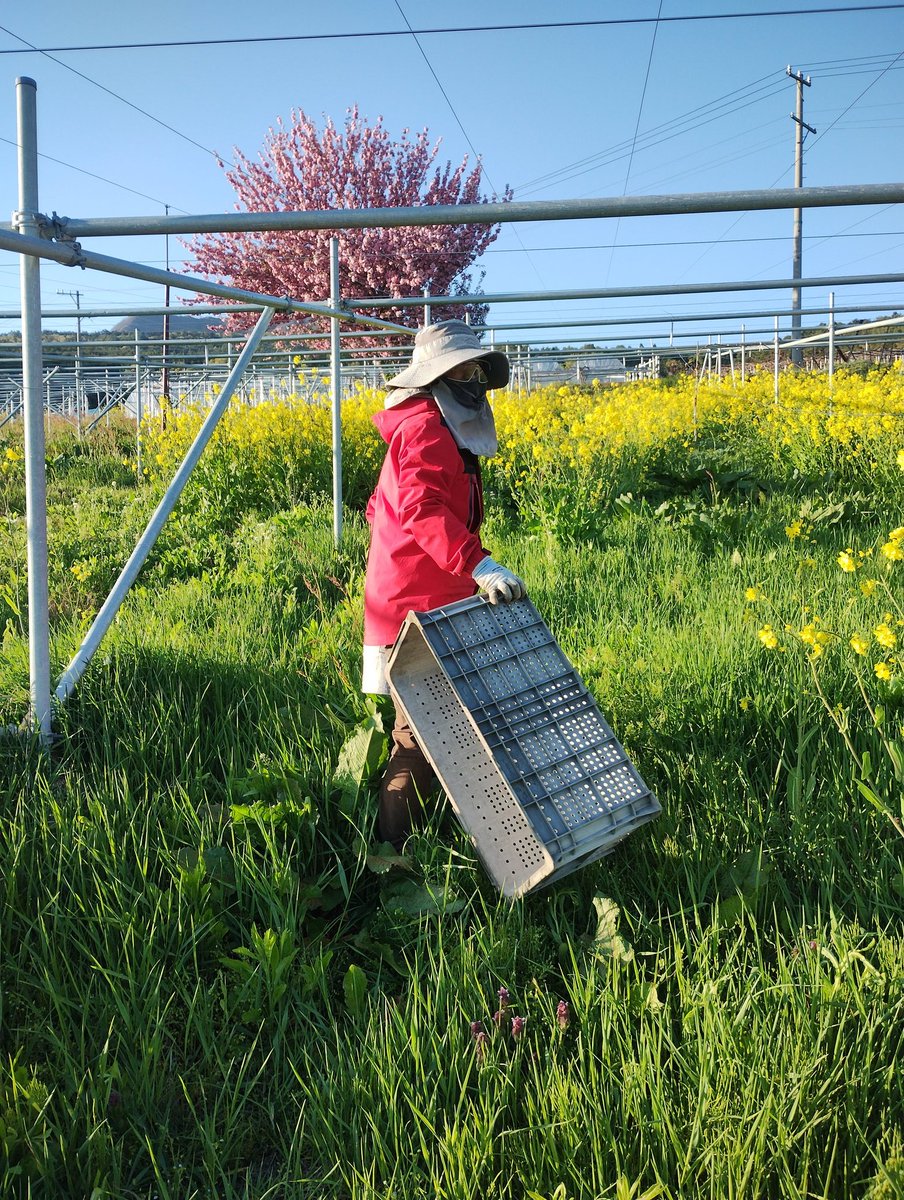 トリコロール＠女子トレラン tweet media