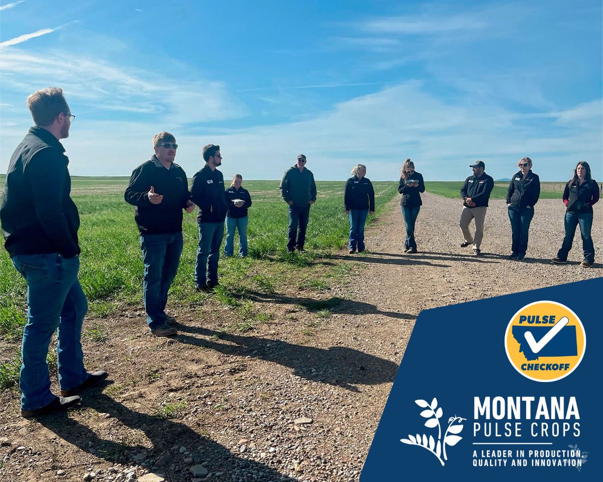 mtpulsecrops's tweet photo. Blaine Juedeman, MPCC member & Montana pulse producer, shared how pulses boost our ag economy! π± Montana's pulse crops are making waves! #MontanaAg #PulseCrops #REALMontana #MTAg #MontanaFarming #CheckoffAtWork https://t.co/tea9ZgMqAV