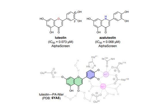 IOCB Prague (@iocbprague) on Twitter photo #research #antivirals #flavonoids
Beyond Natural Flavonoids: Exploring Bioisosterism in Design and Synthesis of Influenza Endonuclease Inhibitors (Reiberger, Kráľ, Radilová, Kotačka, Tsalyy, Majer, Dračínský, Brynda, <a href="/konvalinka_jan/">Jan Konvalinka</a>, Kožíšek, Machara) – <a href="/rsc_medchem/">RSC Medicinal Chemistry</a>: #research #antivirals #flavonoids
Beyond Natural Flavonoids: Exploring Bioisosterism in Design and Synthesis of Influenza Endonuclease Inhibitors (Reiberger, Kráľ, Radilová, Kotačka, Tsalyy, Majer, Dračínský, Brynda, <a href="/konvalinka_jan/">Jan Konvalinka</a>, Kožíšek, Machara) – <a href="/rsc_medchem/">RSC Medicinal Chemistry</a>: