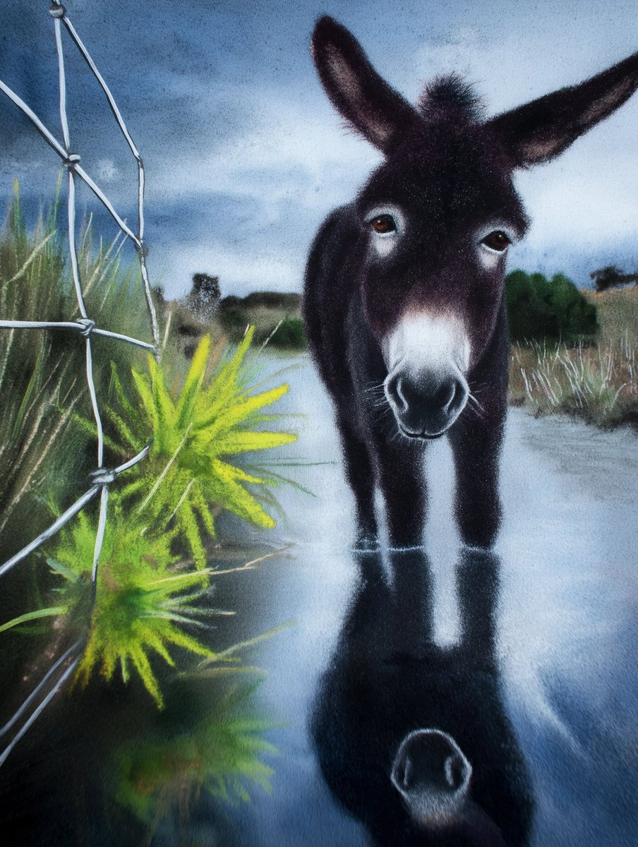 denver_donkey's tweet photo. We could really use the moisture. ๐ง๏ธ #DailyDONK #DONKs https://t.co/gMyurM2Gj8