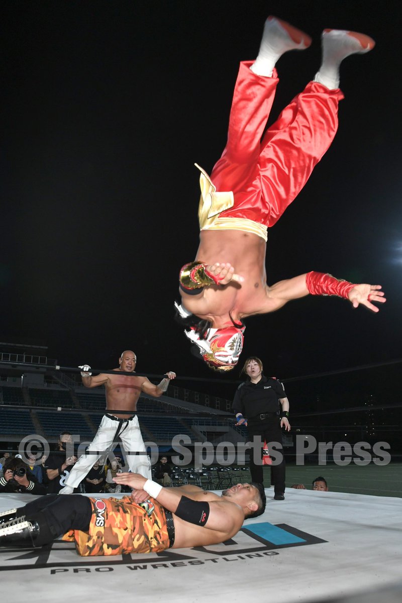 不死鳥ハヤブサ(江崎英治) 白衣装ver. プロレスフィギュア【新品未開封】 Amazon.co.jp: 限定500体 HAOコレクションハヤブサ 限定白Ver 隼 H