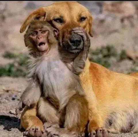 TheshadowPlus's tweet image. You again with a wrong partner😂