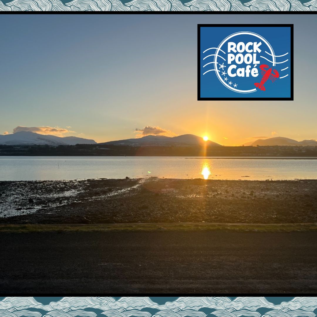Anglesey Sea Zoo ๐๐๐ฆ๐๐ฆ๐ (@angleseyseazoo) on Twitter photo Work with a view-
Weโre hiring a Catering Assistant to join us at the Rock Pool Cafรฉ. If you love the idea of working by the sea and being part of a fantastic team, we want to hear from you!
Full training will be given. Drivers are preferred.
Apply now: post@angleseyseazoo.co.uk Work with a view-
Weโre hiring a Catering Assistant to join us at the Rock Pool Cafรฉ. If you love the idea of working by the sea and being part of a fantastic team, we want to hear from you!
Full training will be given. Drivers are preferred.
Apply now: post@angleseyseazoo.co.uk