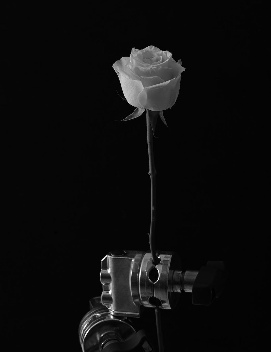 この度、フォトグラファーROBIN FURUYAとして写真集「MY FOCAL LENGTH