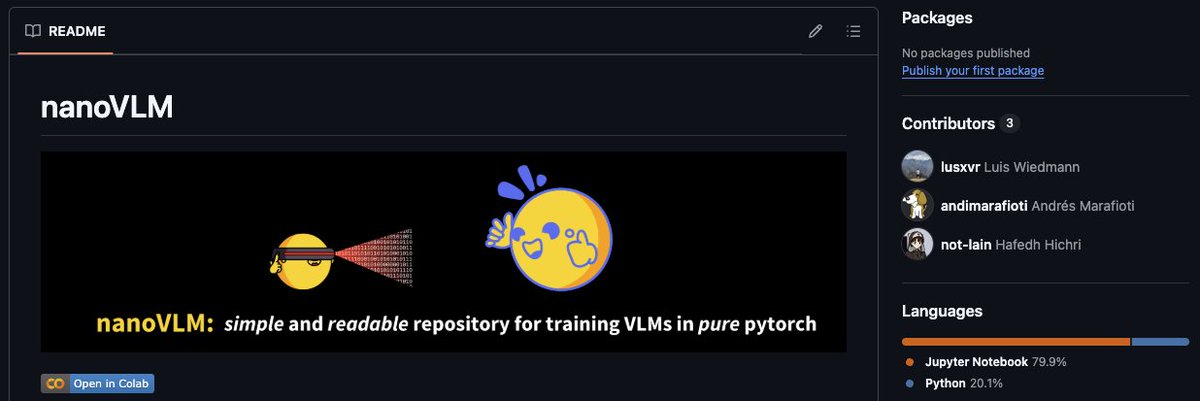 Alert alert, we got our first external contribution to the nanoVLM project! Thank you, <a href="/not_so_lain/">Lain</a> !