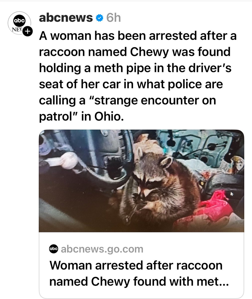 Oh no, <a href="/mets_coon/">Mets Raccoon</a>! Yes, the #Mets’ division lead has shrunk to just two games. But they’re still on top! Please get the help you so desperately need.