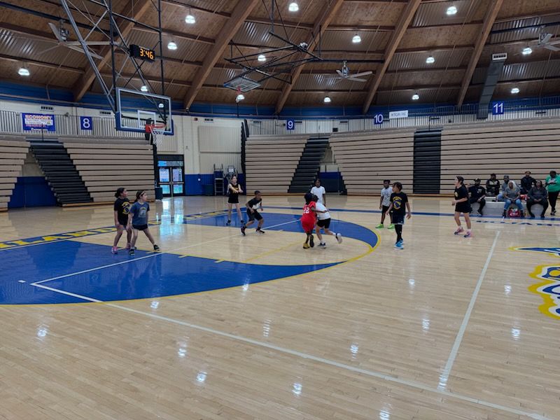 Highland HS Bball (@hhstrojansbball) on Twitter photo Night 1 of elementary league at HHS was great! We got to work with the kids on some basic drills and then played 4 quarters of basketball that ended with a buzzer beater 3! Cant wait til next week! <a href="/stohAD1/">Ryan Harrington</a> <a href="/HHSLadyTrojans/">HHS Girls Basketball</a> Night 1 of elementary league at HHS was great! We got to work with the kids on some basic drills and then played 4 quarters of basketball that ended with a buzzer beater 3! Cant wait til next week! <a href="/stohAD1/">Ryan Harrington</a> <a href="/HHSLadyTrojans/">HHS Girls Basketball</a>