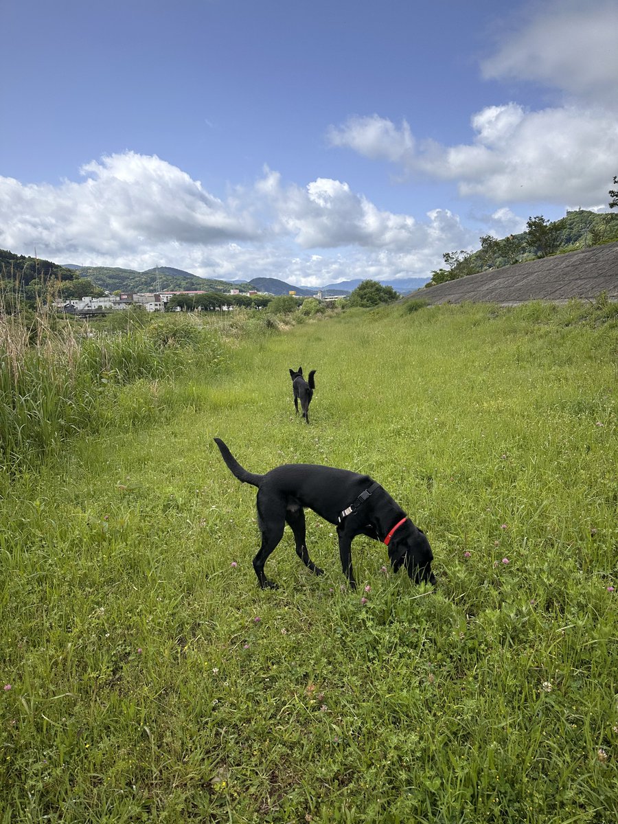 お久しぶりの投稿。
毎日のこののどかなひと時がたまらなく幸せです。
時よ止まれ🥲❤️