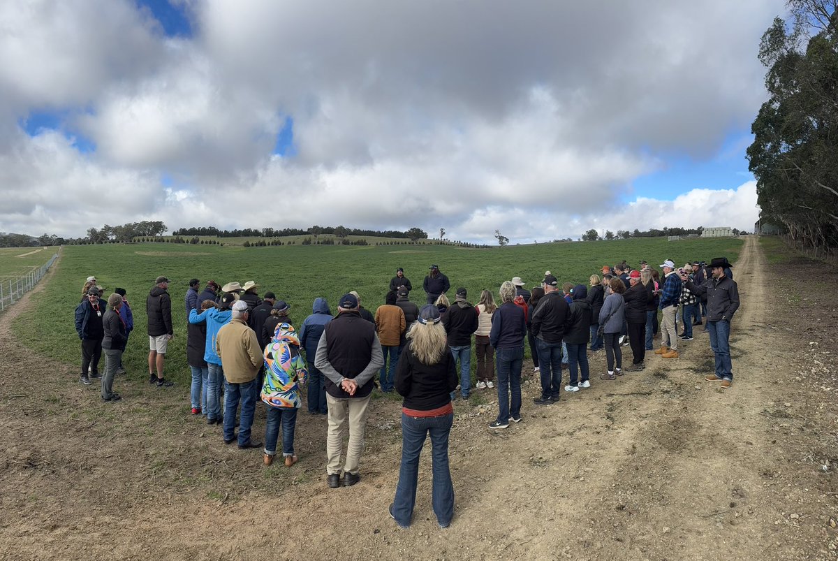Mr. Weston Merrill has been down under in Australia this past week for the @worldangusforum2025!

Their first stop on the tour was Sunny Point Pastoral - considered pioneers in paddock to plate.

Stay tuned for more!

#MTAg #MontanaAg #MTAgriculture #BeefGenetics