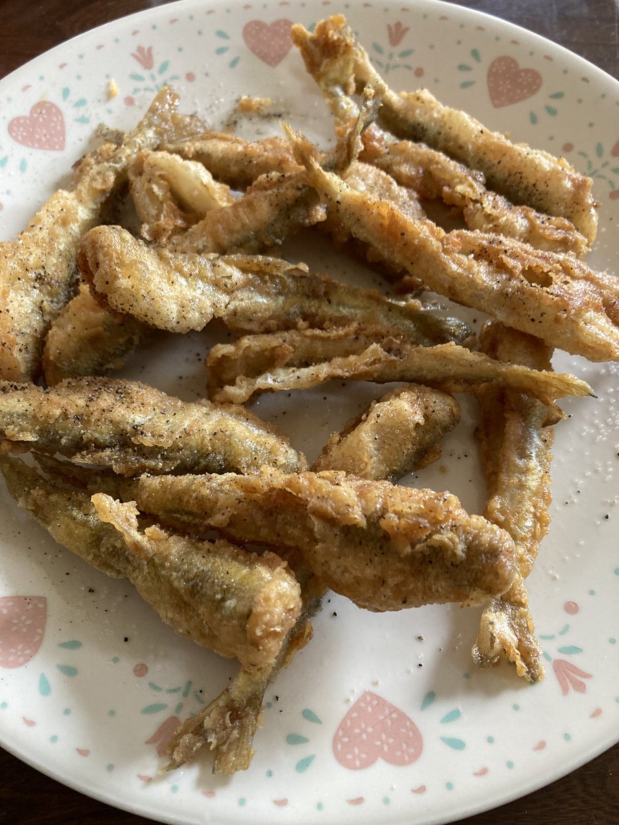 TedSmit66991036's tweet image. Smelts are running in the Streams of Lake Superior 🇨🇦. Tasty little fish