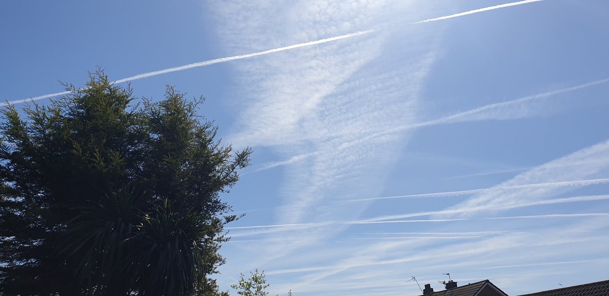 uprising tweet media