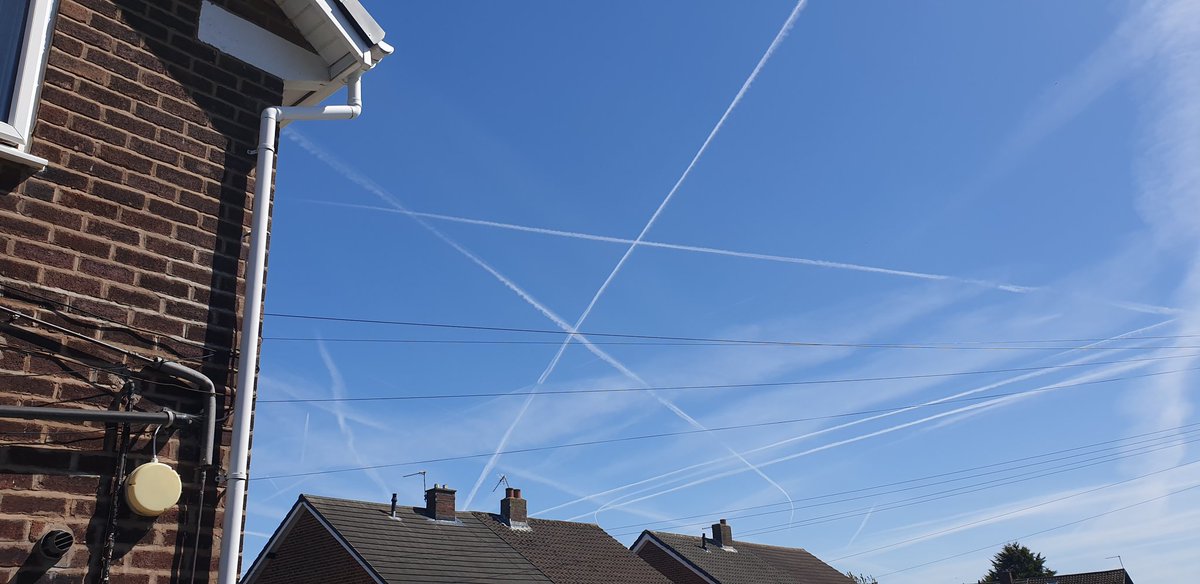 uprising tweet media