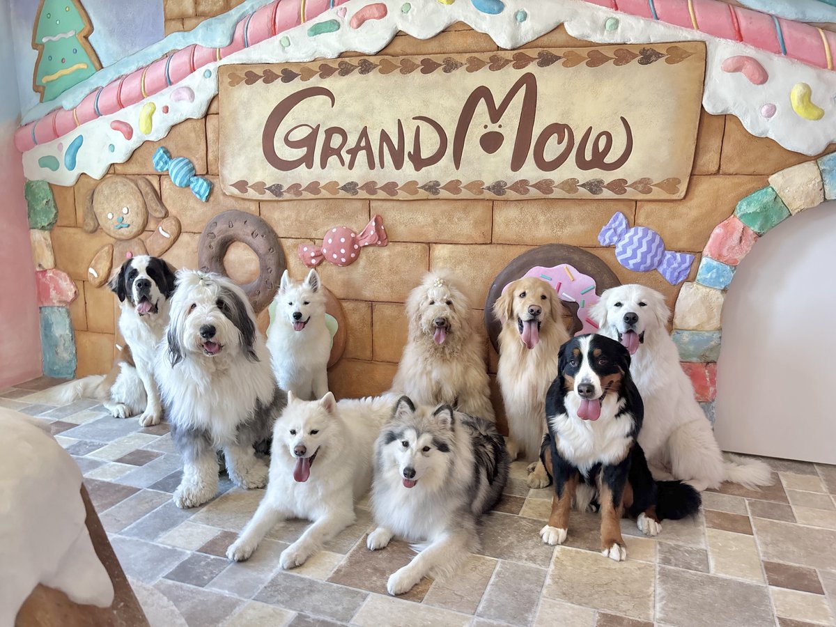 TV出演のお知らせ📺✨️ ＼ TBS「王様のブランチ」のトレンド部が