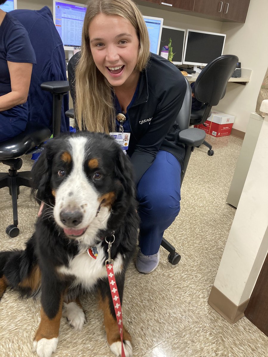 Dave Mishkin (@davemishkin) on Twitter photo Nurses Week continues, and Stella visited the <a href="/TGHCares/">Tampa General Hospital</a> facility in Riverview! #bernesemountaindog #therapydog #NursesWeek Nurses Week continues, and Stella visited the <a href="/TGHCares/">Tampa General Hospital</a> facility in Riverview! #bernesemountaindog #therapydog #NursesWeek