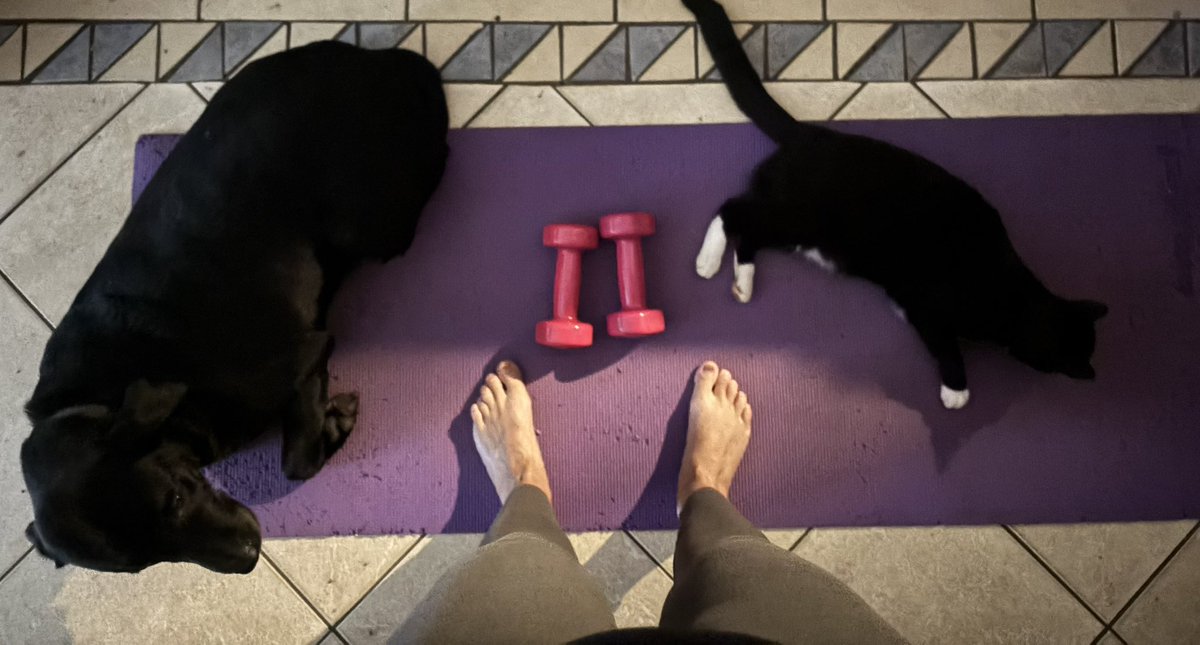 Giseladejager's tweet image. My 5am club