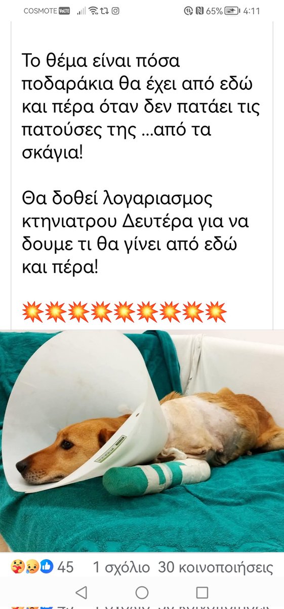 Ηράκλειο Κρήτης ‼️🆘‼️🆘‼️Νεώτερη ενημέρωση για την κακοποιημένη Ελπίδα. Κοινοποιούμε χρειάζεται συνοδό από Ηράκλειο κ φιλοξενία από καλό άνθρωπο όπου θα την συνοδεύει στην αποθεραπεία της  Ο βασανιστής της ήθελε να την αποτελειώσει. Βοηθειστε παιδιά στον αγώνα των εθελοντών.