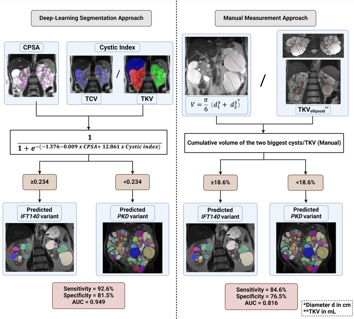 Proud to share our team’s latest work in <a href="/KIReports/">KIReports</a>:
“Characterizing the ADPKD-IFT140 Phenotypic Signature with Deep Learning and Advanced Imaging Biomarkers”

We define the unique clinical and imaging profile of ADPKD-IFT140 and introduce practical + deep learning models for its