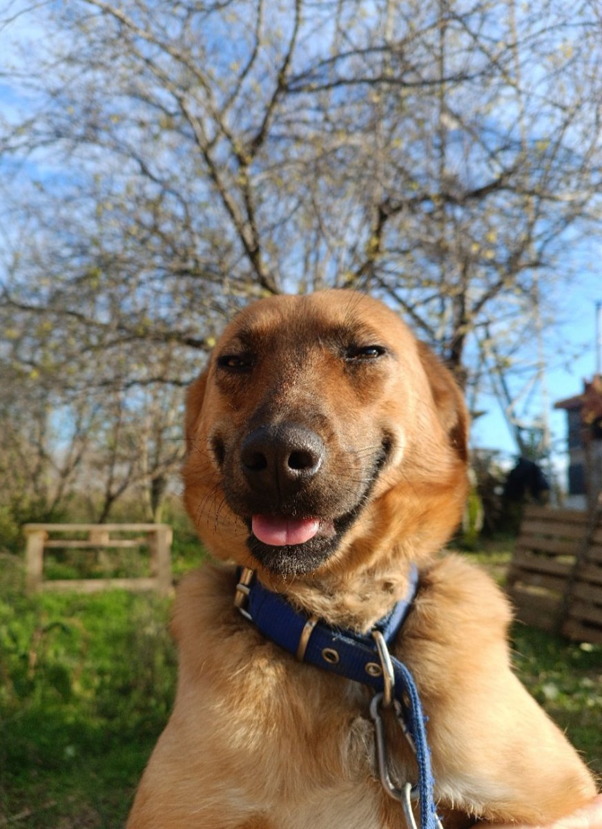 Beni annem sokaktan kurtardı peki diğer arkadaşlarım ne olacak ?Yaşam hakkı kutsaldır. #AYMYasayıİptalEt