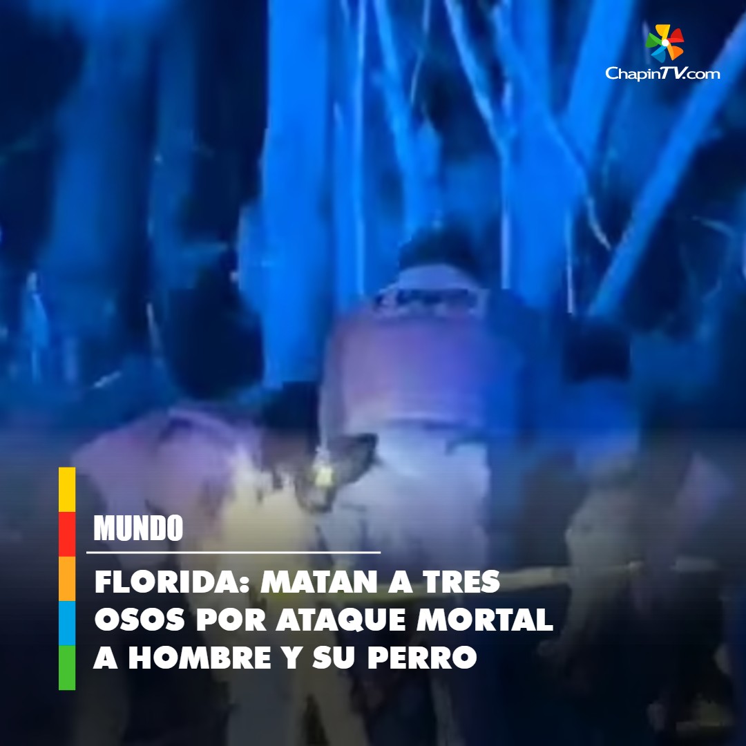 chapintv_'s tweet image. 🚨 #Florida: Tres #osos abatidos tras mortal ataque a un hombre y su perro ➡ bit.ly/4iNH6aT