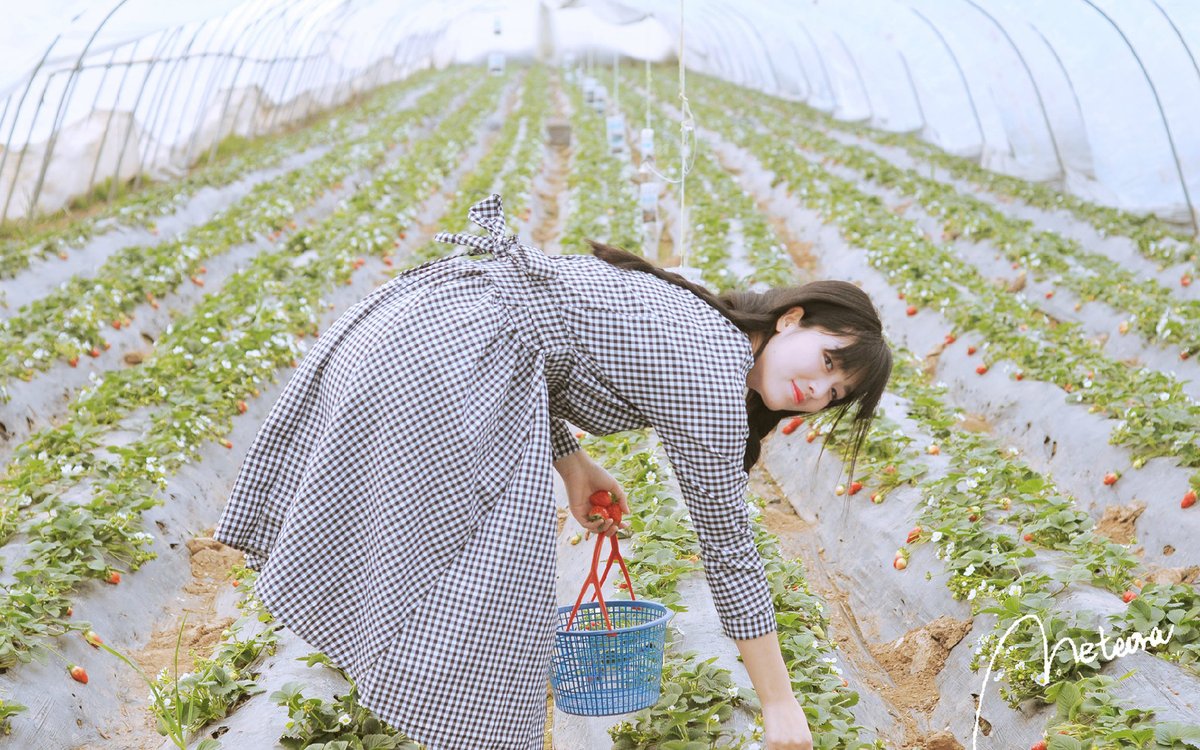 Linda Garcia tweet media