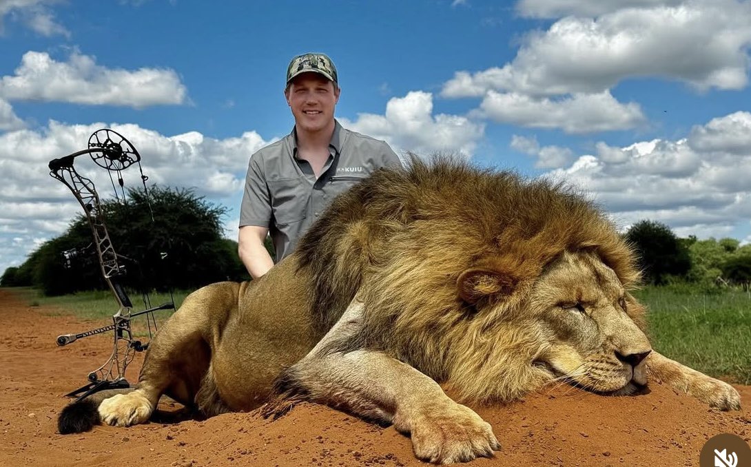 Xpose Trophy Hunting (@xposetrophyhunt) on Twitter photo Lately these so-called 'doctors' keep creeping out of the woodwork. Dr Todd A Wical 'put the hammer down on this cat.' POS. 🤬
#BanTrophyHunting RT
<a href="/SARA2001NOOR/">Sara✌️💙🍉peaceFOReveryone</a> <a href="/Angelux1111/">Angel</a> <a href="/Gail7175/">WatchDominion.com Ⓥ</a> <a href="/Lin11W/">🌱🌹❤️ Anonymous for the voiceless ❤️🌹🌱</a> <a href="/Protect_Wldlife/">PROTECT ALL WILDLIFE</a> <a href="/PhaedraXTeddy/">Phaedra</a> Lately these so-called 'doctors' keep creeping out of the woodwork. Dr Todd A Wical 'put the hammer down on this cat.' POS. 🤬
#BanTrophyHunting RT
<a href="/SARA2001NOOR/">Sara✌️💙🍉peaceFOReveryone</a> <a href="/Angelux1111/">Angel</a> <a href="/Gail7175/">WatchDominion.com Ⓥ</a> <a href="/Lin11W/">🌱🌹❤️ Anonymous for the voiceless ❤️🌹🌱</a> <a href="/Protect_Wldlife/">PROTECT ALL WILDLIFE</a> <a href="/PhaedraXTeddy/">Phaedra</a>