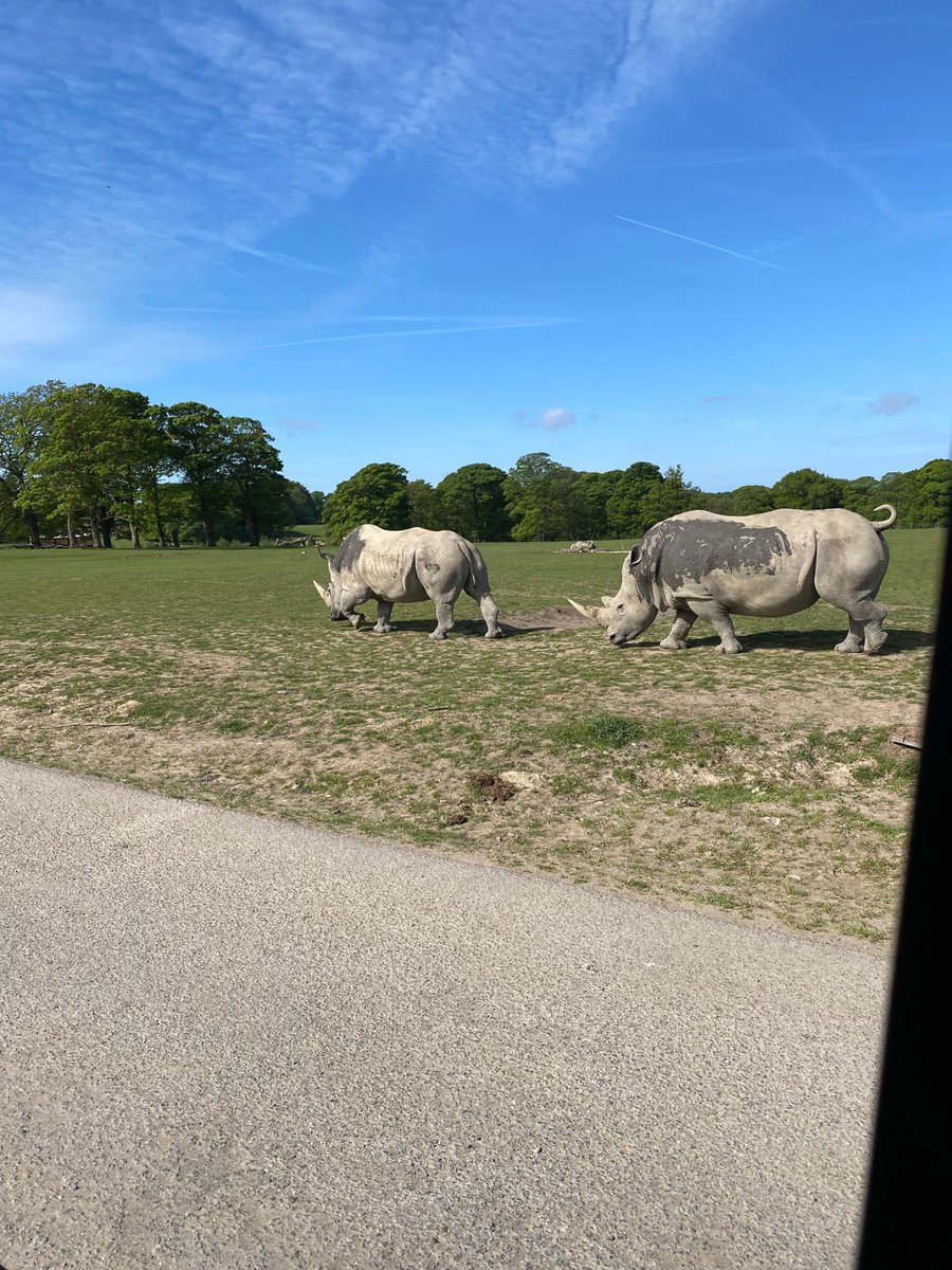 MissJacquesNBPS's tweet image. A sunny day spent @KnowsleySafari park today with some of our Hub children. We really enjoyed the bird and sea lion show and loved driving through the park looking at all of the animals. βοΈππ
π¦
π¦π¦π¦π¦ @NewBrightonPS