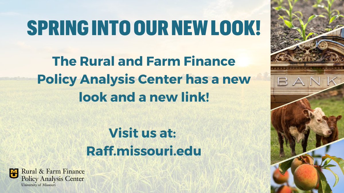 The Rural and Farm Finance Policy Analysis Center has a new look and a new link!

Visit Raff.missouri.edu to explore updated tools, reports, and resources that support farm and rural finance decisions. 
Note: The previous web address will continue to work for the next year.
