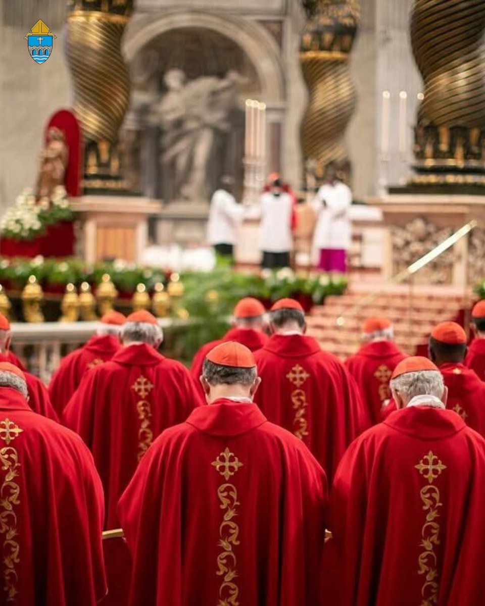 Let us pray for the discernment of the College of Cardinals in electing our next Supreme Pontiff!

#papalconclave #collegeofcardinals #catholicchurch #electingapope #pontiff