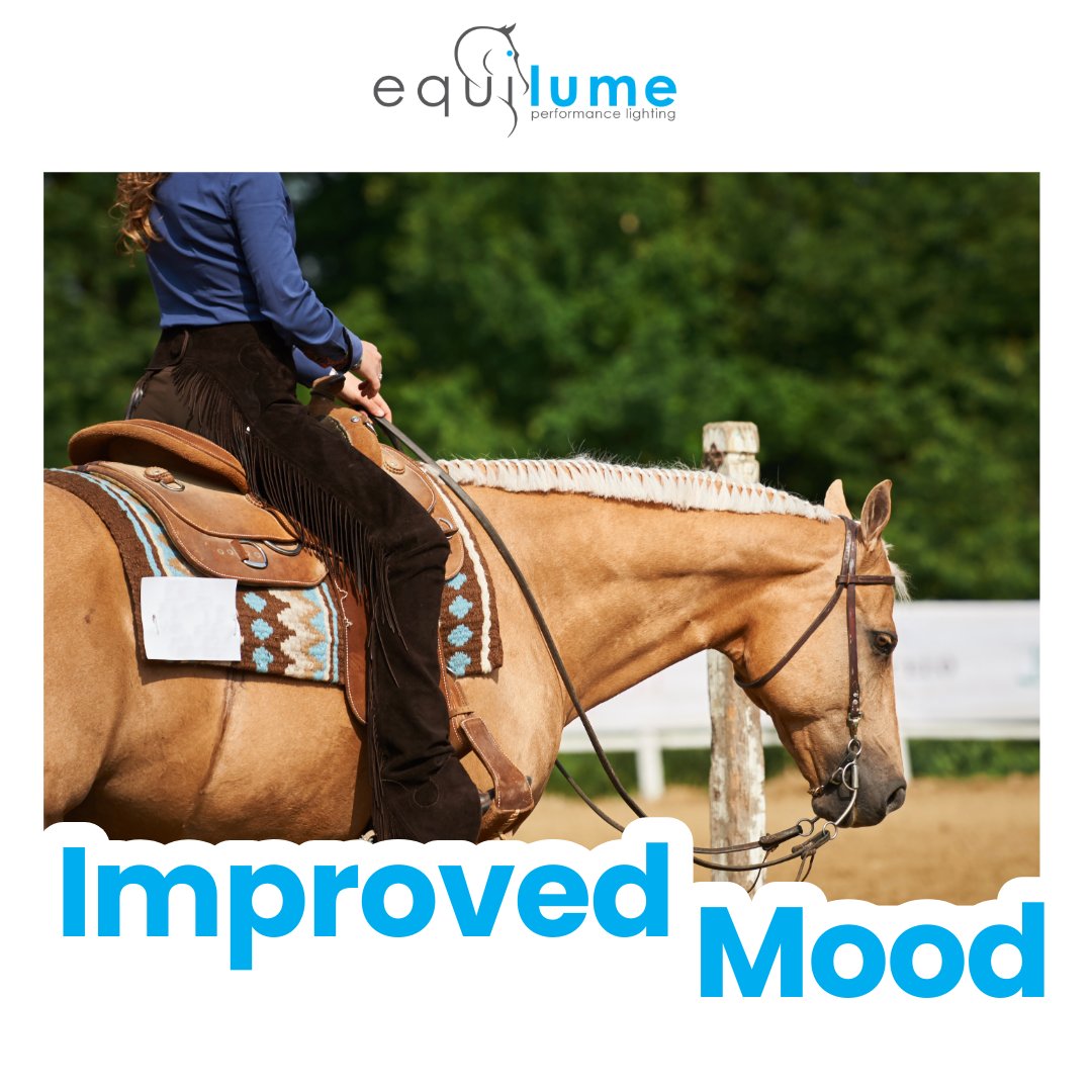 Unlock your horse’s potential with the Equilume Pro Light Mask! Enhance focus, improve mood, and promote relaxation for happier, healthier horses. Grab yours today!
#Equilume #BetterWithBlue #FertilityPerformanceWellbeing