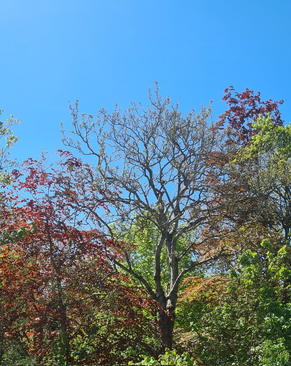 Dr Katie Fitton Davies tweet media