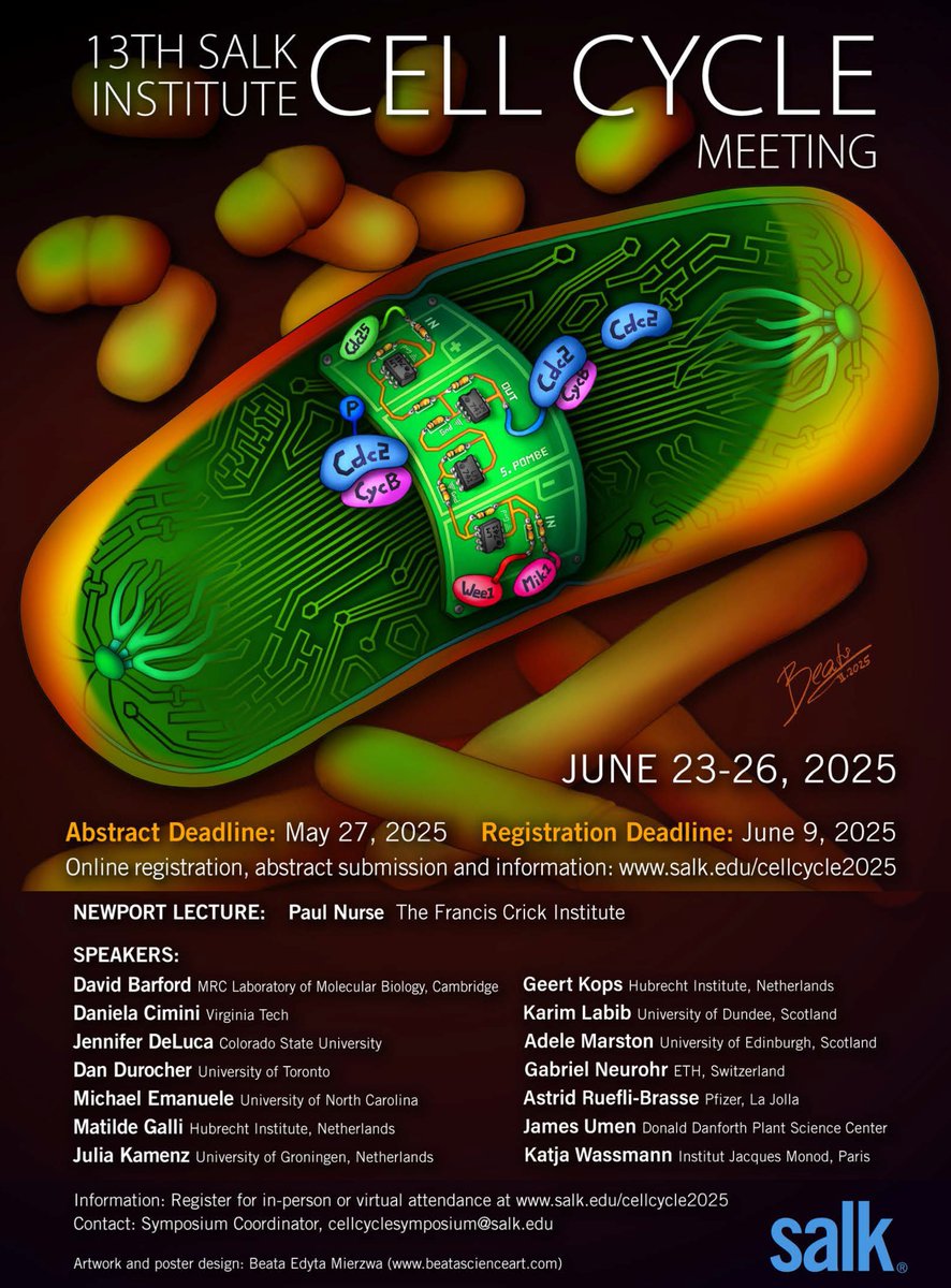 ⏳Only 20 days left to register for #CellCycle2025! 
June 23–26 at <a href="/salkinstitute/">Salk Institute</a>  
The US may not be everyone's top travel pick right now–but please come if you can. Great science, great people, and a reminder that research thrives on global exchange. 
salk.edu/cellcycle2025