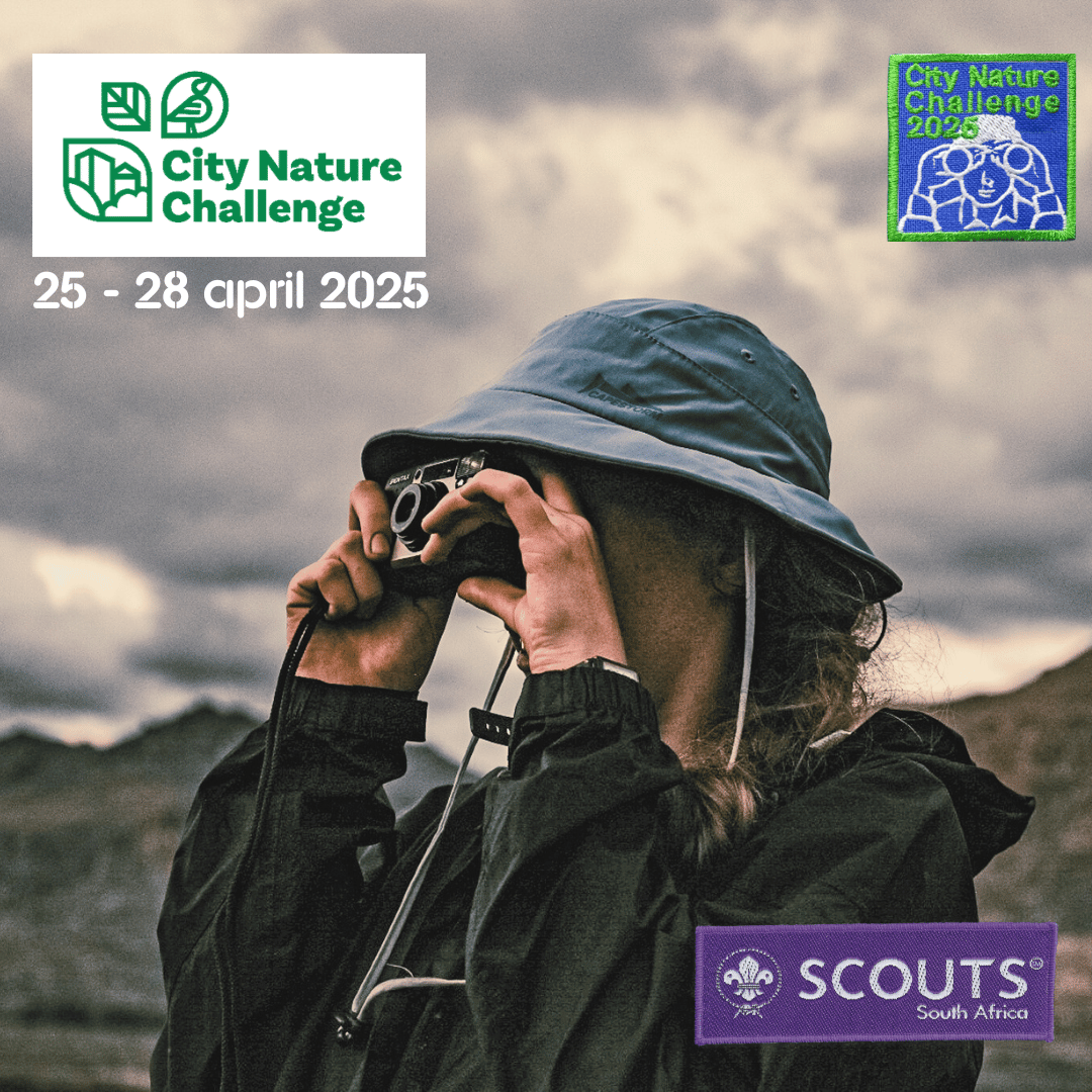 SAScout's tweet image. Congrats to all who joined the Global City Nature Challenge 2025! 

14.3% of ALL Observations were done by SCOUTS SA!  Every Scout Region participated, 27.5% of all observations in Gauteng, and 21% in the Western Cape were by Scouts. More stats: scouts.org.za/news