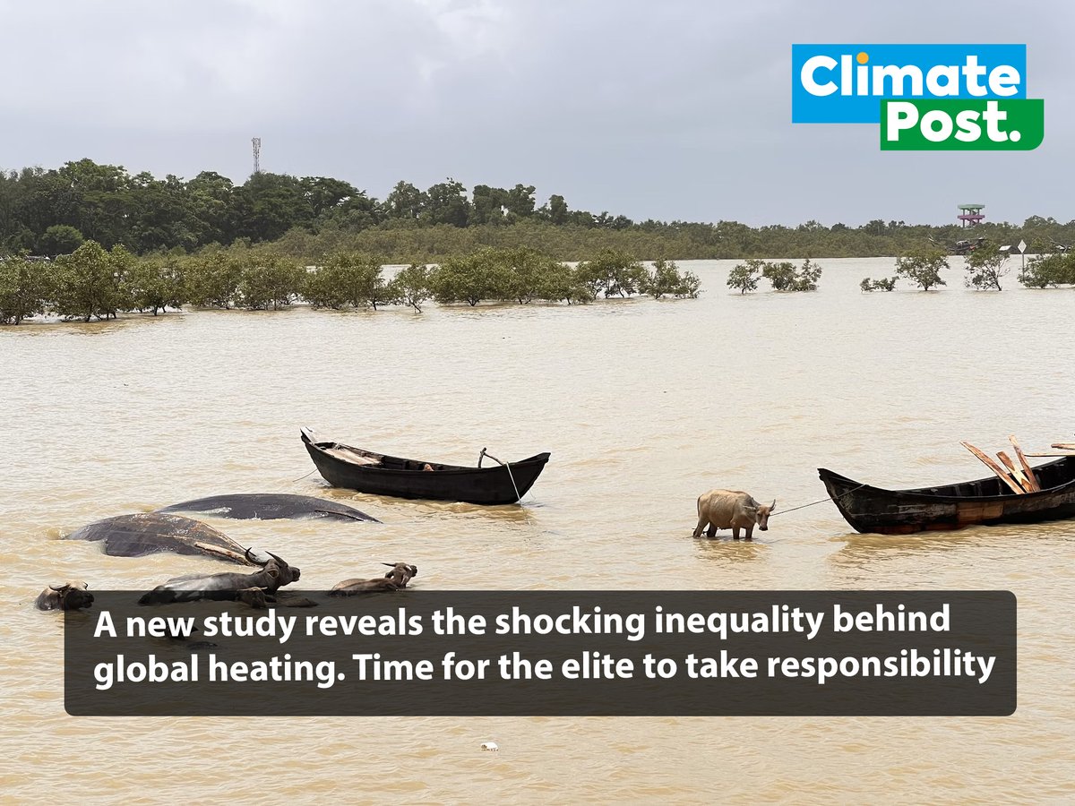 ClimatePostNews's tweet image. he wealthy 10% fuel the #ClimateCrisis—Africa suffers the consequences.
A new study reveals the shocking inequality behind global heating. Time for the elite to take responsibility. #ClimateJustice
climatepost.net/the-climate-cr…