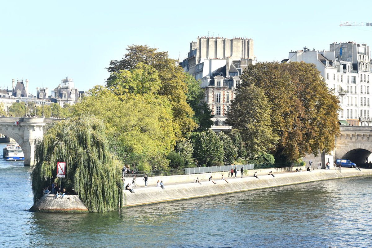 VIParis's tweet image. Sunny Ile de la Cité...#Paris #Travel #Wednesday #France #architeture #WednesdayMotivation #Parisjetaime 📸 Daniele La Rosa Messina💖💞