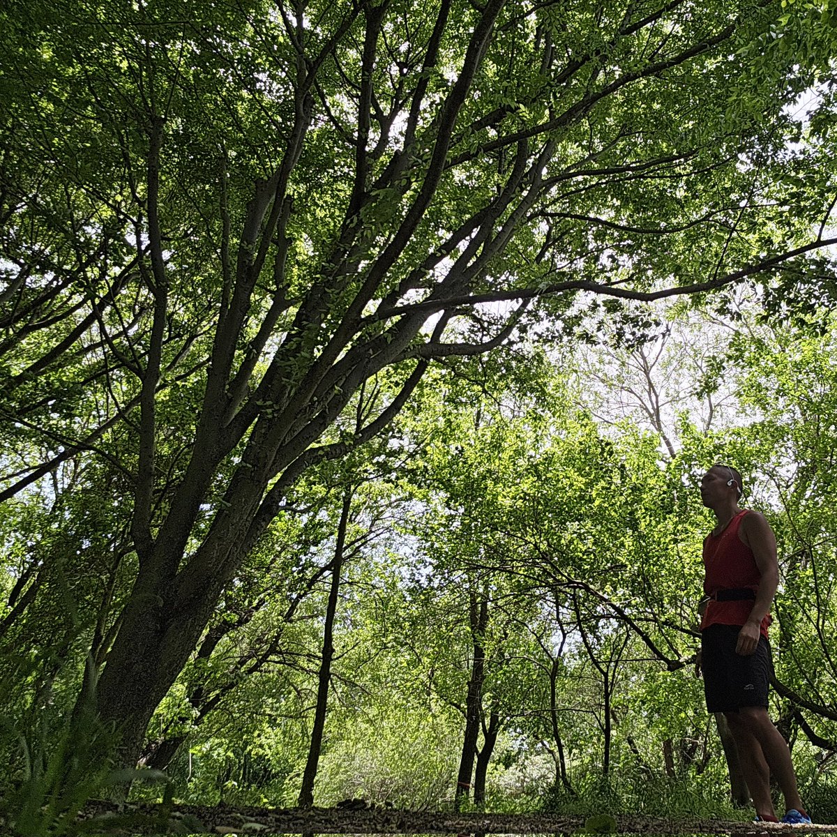 katsuki5025's tweet image. 残念ながら、
目標スコア達成ならず🥺
ここで立ち止まる訳にはいかないので、
まあ気持再点火します💪

【05/07(水)】
①20kmjog

【TOEIC】
①金フレ 400語
②銀フレ 200語
③でる1000 30問
④金の読解 1問
⑤パート1・2対策特急Ⅱ 19問

#carosvertix2 
#tabio
#xplosion
#TOEIC
#博士課程の道