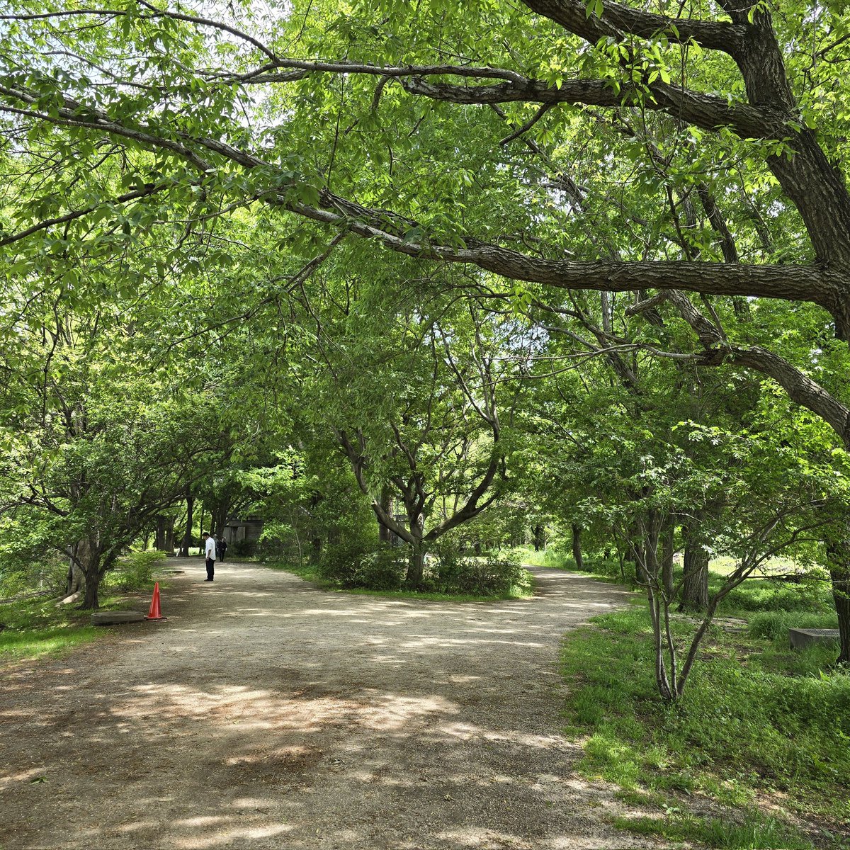 katsuki5025's tweet image. 残念ながら、
目標スコア達成ならず🥺
ここで立ち止まる訳にはいかないので、
まあ気持再点火します💪

【05/07(水)】
①20kmjog

【TOEIC】
①金フレ 400語
②銀フレ 200語
③でる1000 30問
④金の読解 1問
⑤パート1・2対策特急Ⅱ 19問

#carosvertix2 
#tabio
#xplosion
#TOEIC
#博士課程の道