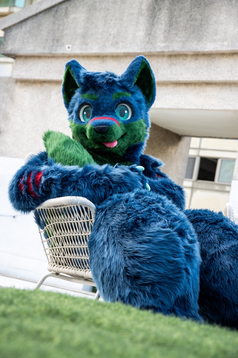 CTtheWolf's tweet image. Hi there~
Welcome to my fan page, I'm CT the Wolf!
A dark blue and green cute wolf lives in Taiwan.
Sometimes take picture and record furry stuff.
Nice to meet you~