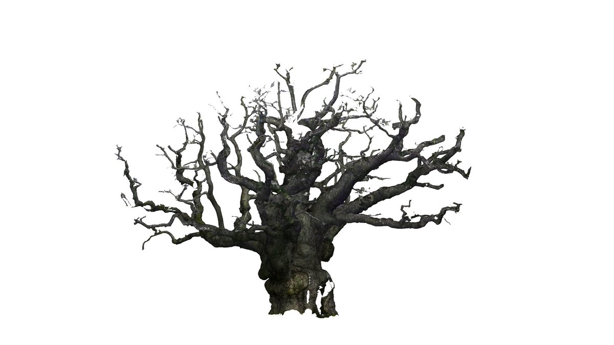 Uni of Nottingham Press Office (@uonpressoffice) on Twitter photo A new project has seen experts from @uniofnottingham scanning the Major Oak tree to create a 3D model as part of a new exhibition.
The FOREST exhibition will open at <a href="/NottmCastle/">Nottingham Castle</a> later this month.
More info ▶️ ow.ly/VtcU50VOvpl A new project has seen experts from @uniofnottingham scanning the Major Oak tree to create a 3D model as part of a new exhibition.
The FOREST exhibition will open at <a href="/NottmCastle/">Nottingham Castle</a> later this month.
More info ▶️ ow.ly/VtcU50VOvpl