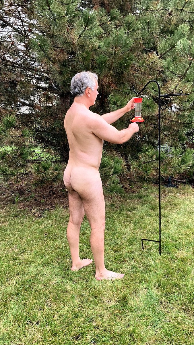 Placing the hummingbird feeder. They will arrive this month.