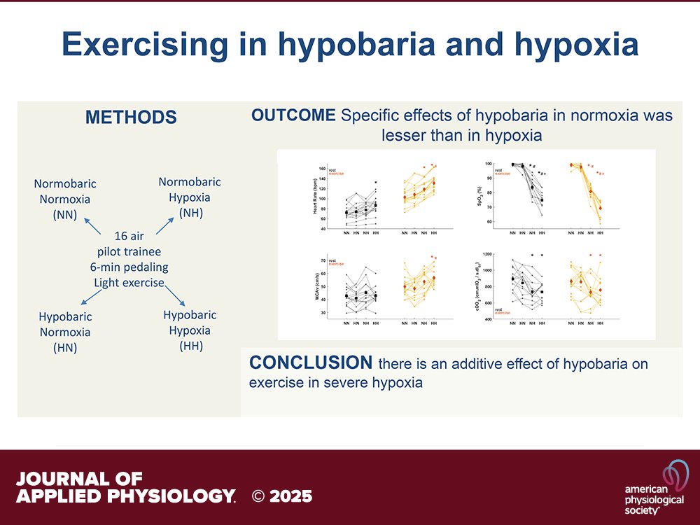 Journal of Applied Physiology (@japplphysiol) on Twitter photo N Bourdillon and MR Aebi + (@LausanneUniversity <a href="/GregoireMillet1/">Gregoire Millet</a>) Exercise-induced #cardiovascular responses during combined #normobaric versus #hypobaric and normoxic versus #hypoxic acute exposures in military air pilot trainee ✈️
ow.ly/Lo2v50VEOoz N Bourdillon and MR Aebi + (@LausanneUniversity <a href="/GregoireMillet1/">Gregoire Millet</a>) Exercise-induced #cardiovascular responses during combined #normobaric versus #hypobaric and normoxic versus #hypoxic acute exposures in military air pilot trainee ✈️
ow.ly/Lo2v50VEOoz