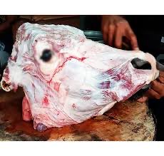 Indians ki maa ki siri