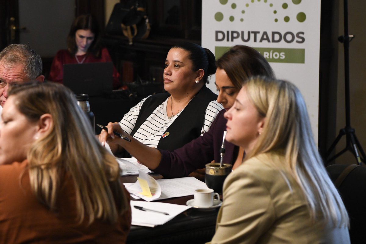 diputadoser's tweet photo. | Transparencia fiscal🤚🏻

📌 Las comisión de Hacienda, Presupuesto y Cuentas, presidida por @bruno_sarubi y Legislación General, a cargo del @a_marcelolopez dieron dictamen favorable por unanimidad al proyecto de adhesión al Régimen de Transparencia Fiscal al Consumidor✅ https://t.co/QyWcJD36E7