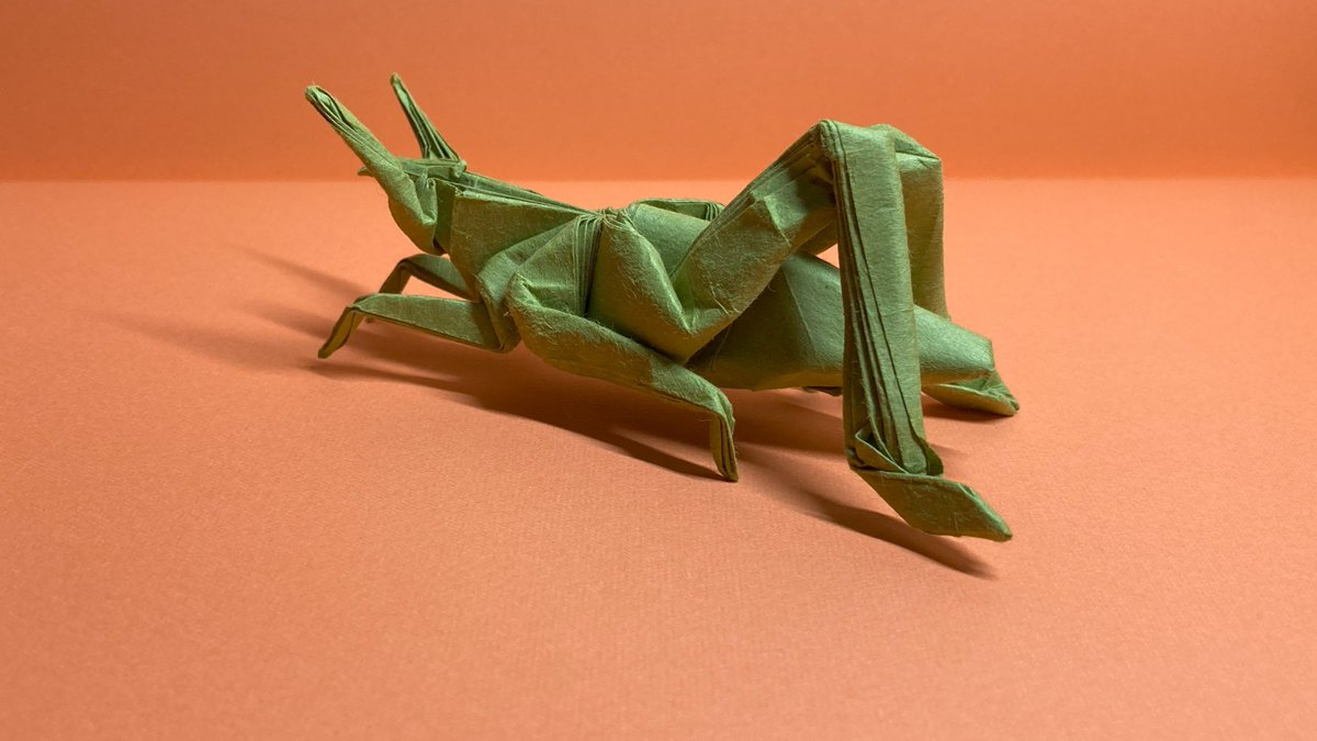 tetsu_labo's tweet image. 一枚の折り紙で作るバッタ Origami Grasshopper #Origami #grasshopper #折り紙 #バッタ #art