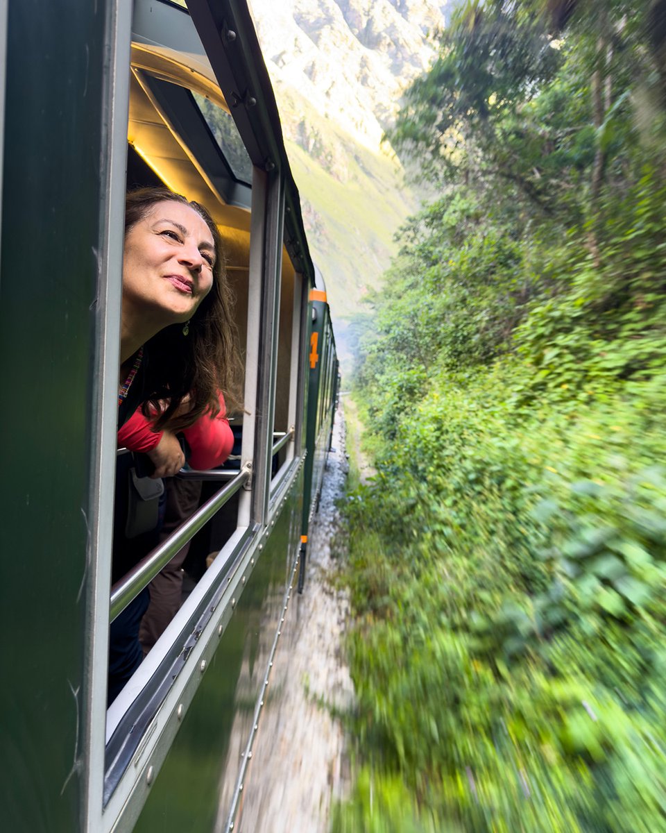 Collette tweet media